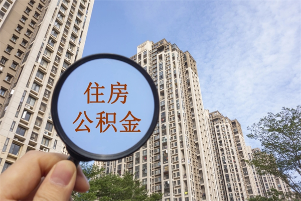 社保断交了6个月可以补吗-和县公积金代办平台